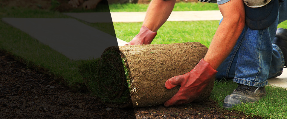 Ellerbe Landscapers